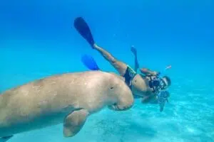 Abu Dabab Beach Marsa Alam 1 Abu Dabab Beach