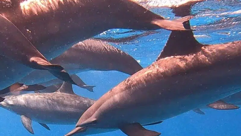 Luxor Tour from Marsa Alam 3 Luxor tour from Marsa Alam