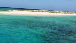 Sataya Dolphins Reef in Marsa Alam 1 Sataya Dolphins Reef