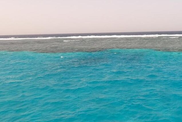 Sataya Dolphin House Marsa Alam Trip