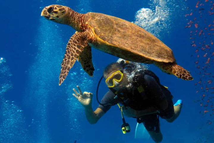 Taxi Marsa Alam