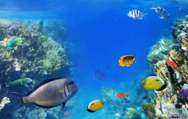 Hurghada from Marsa Alam 2 Hurghada from Marsa Alam