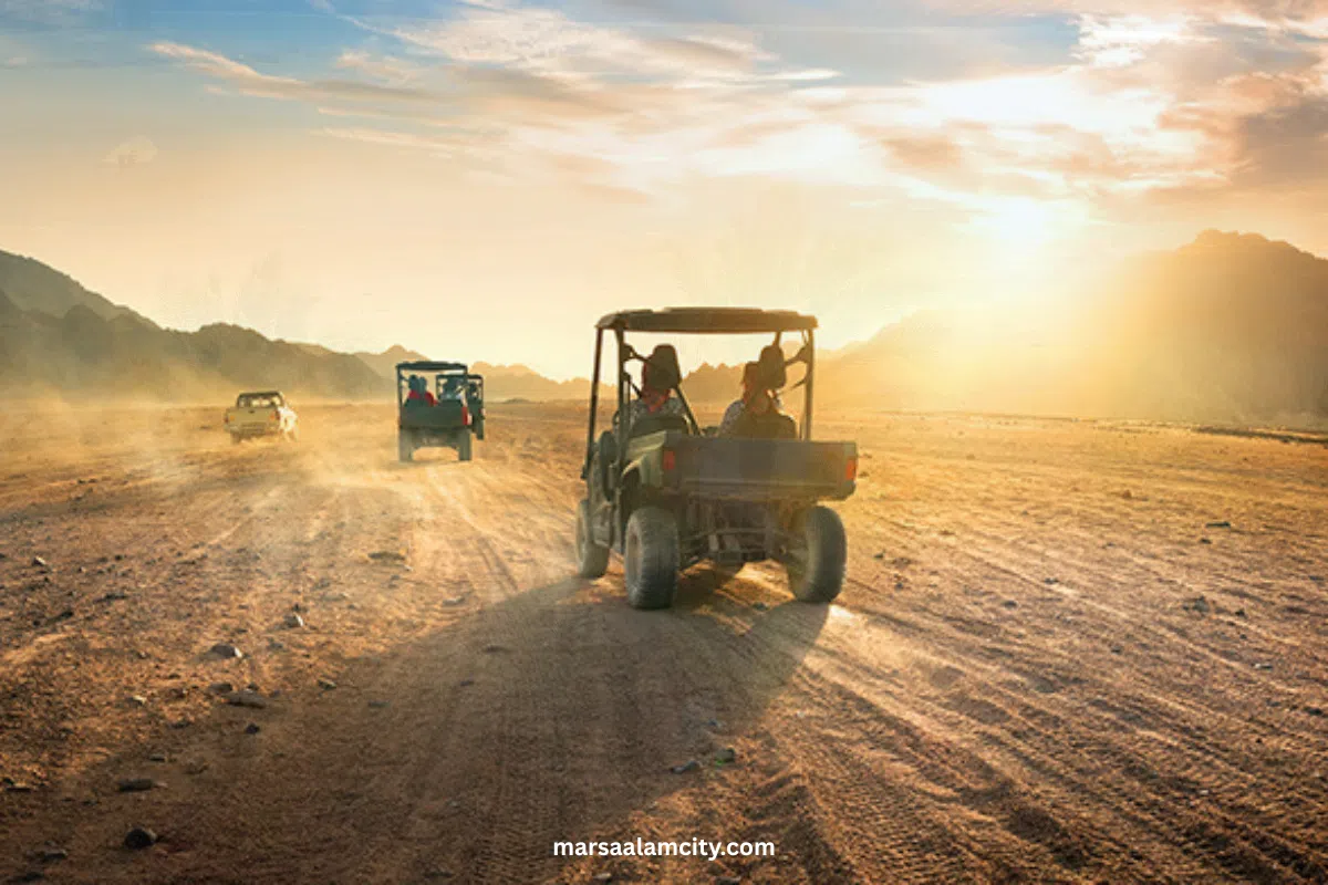 Best Transfer Marsa Alam Services – Easy, Safe & Affordable Rides 3 transfer Marsa Alam