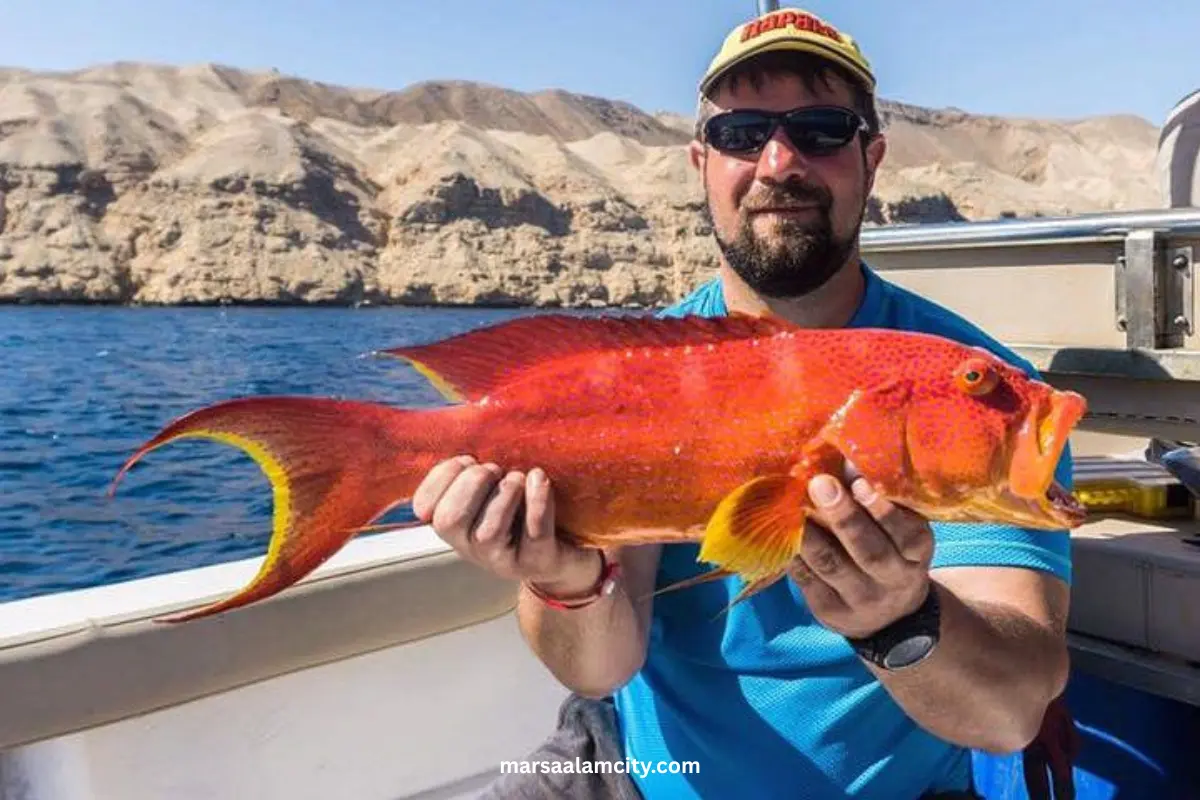 Fishing boat trip in Marsa Alam | A Perfect Day on the Red Sea 2025 3 Fishing boat trip in Marsa Alam