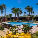 Egypt Abu Dabbab -The Best Spot for Turtles and Diving Adventures 2025 3 Abu dabbab lodge photos