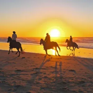 all marsaalam tours 4 Horse Riding Marsa Alam Tour
