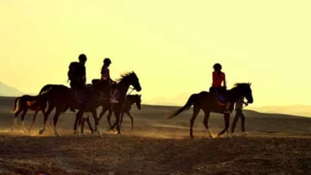 Horse Riding Marsa Alam Tour: A Journey Through Desert Dunes and Turquoise Tides 2026 2 Horse Riding Marsa Alam Tour