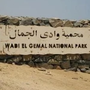 Safari in Wadi El Gemal National Park