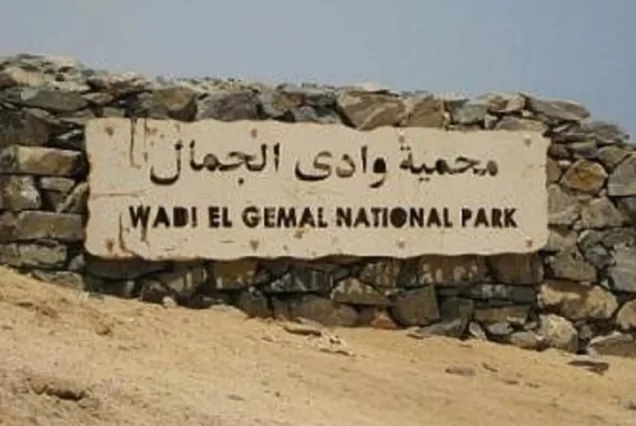 Safari in Wadi El Gemal National Park